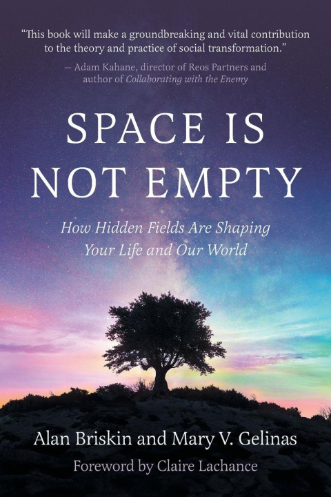 Kniha Space Is Not Empty Mary V Gelinas