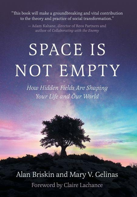 Kniha Space Is Not Empty Mary V Gelinas