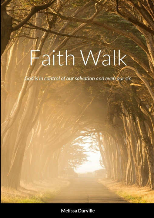 Kniha Faith Walk Melissa Darville