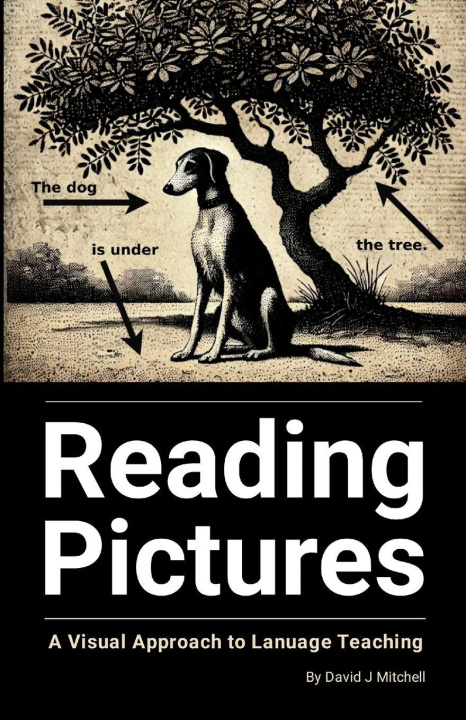 Kniha Reading Pictures David Mithcell