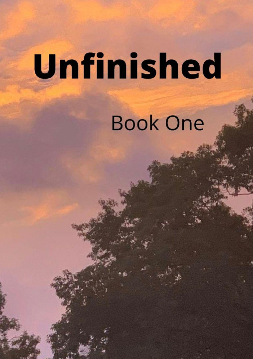 Kniha Unfinished Michael Dedrick