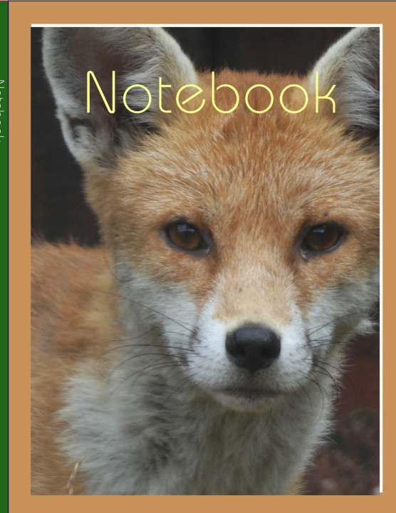 Kniha Notebook Charles Benjamin