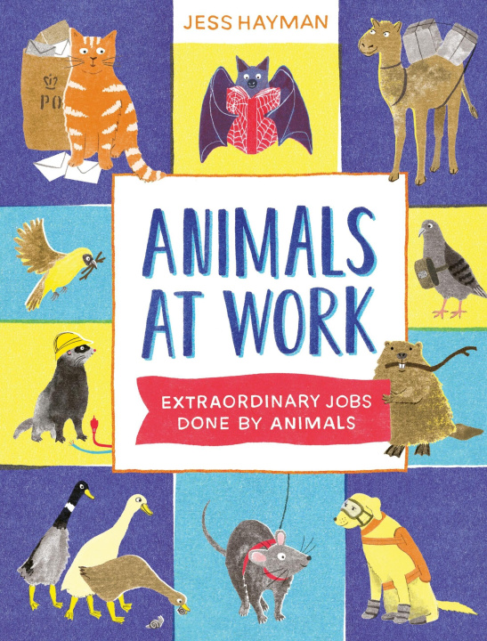 Kniha Animals at Work HAYMAN JESS