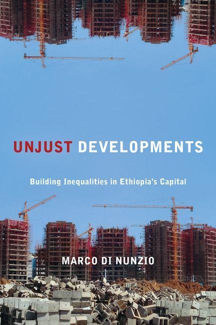 Book Unjust Developments Marco Di Nunzio