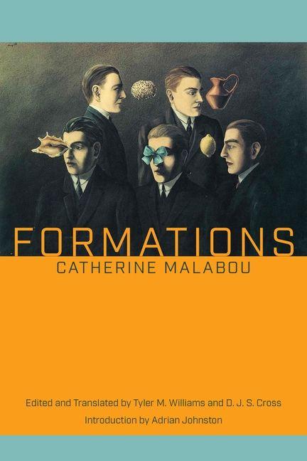 Knjiga Formations Tyler M Williams