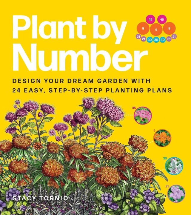 Kniha Plant by Number Stacy Tornio