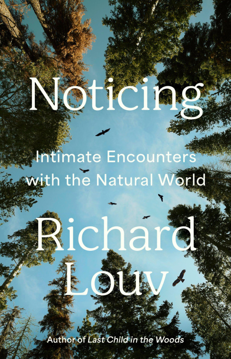 Kniha Noticing LOUV RICHARD