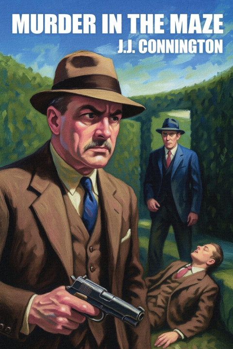 Kniha Murder in the Maze 
