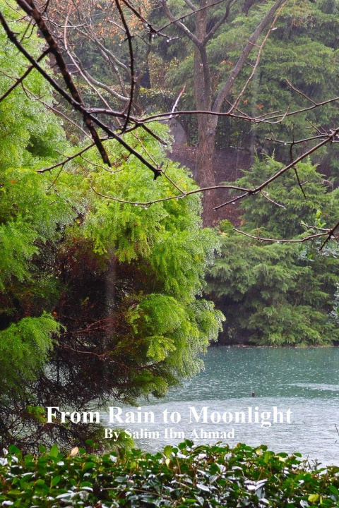 Kniha From Rain to Moonlight Salim Ibn Ahmad