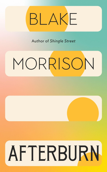 Livro Afterburn Blake Morrison