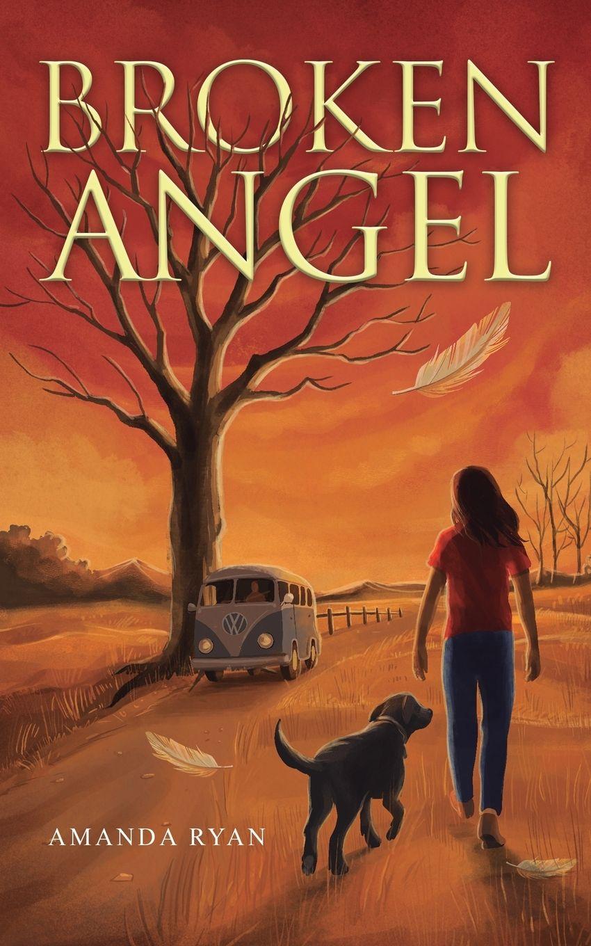 Kniha Broken Angel Amanda Ryan