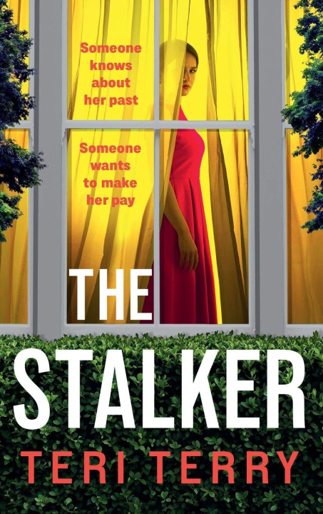 Kniha The Stalker Terri Terry