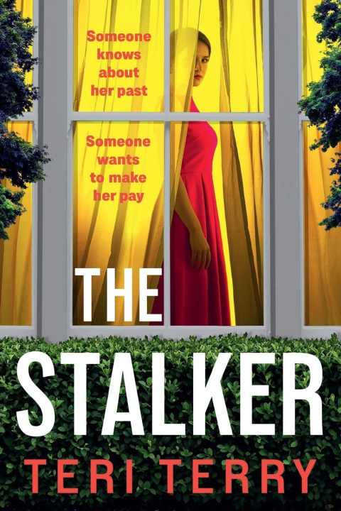 Kniha The Stalker Terri Terry