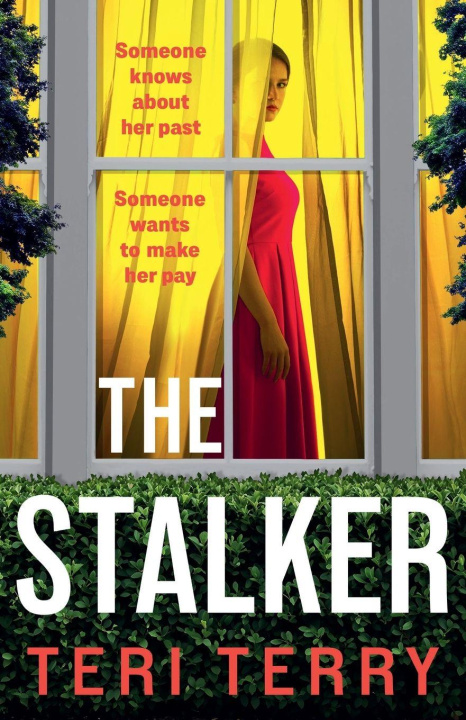 Kniha The Stalker Terri Terry