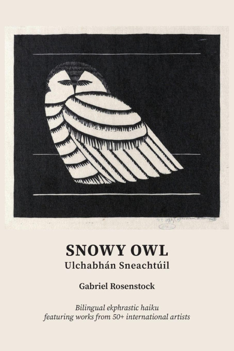 Knjiga Snowy Owl Gabriel Rosenstock