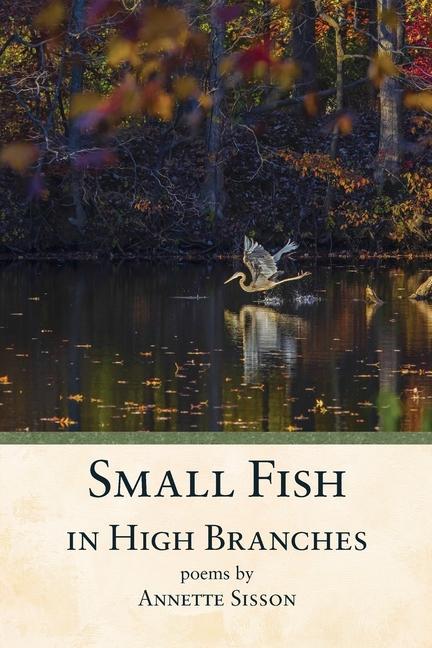 Kniha Small Fish in High Branches 