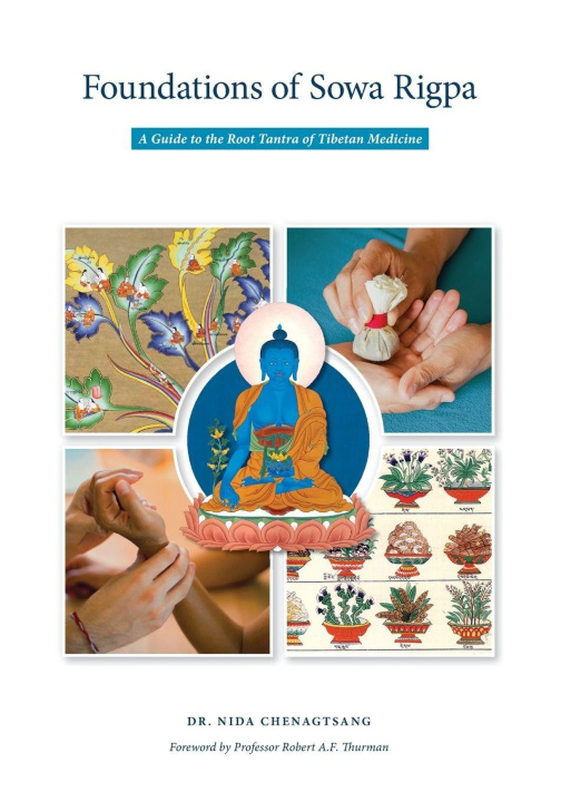 Knjiga Foundations of Sowa Rigpa Nida Chenagtsang