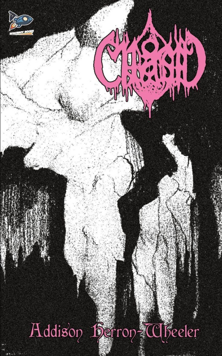 Knjiga Chasm Addison Herron-Wheeler