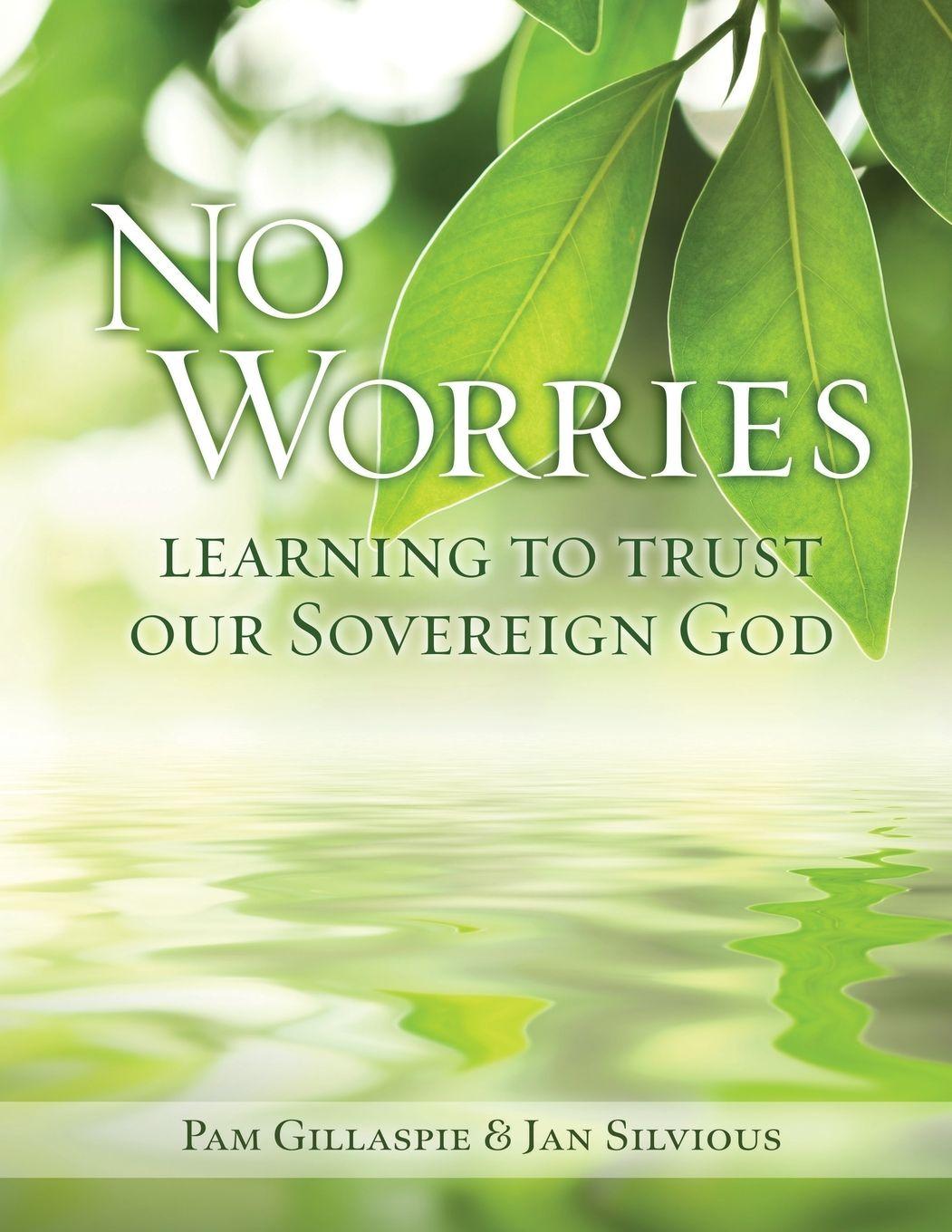 Buch No Worries Jan Silvious