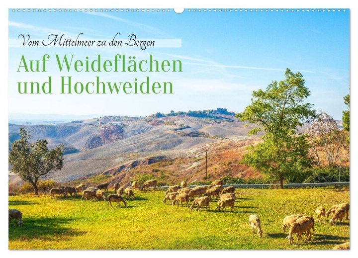 Kalendář/Diář Auf Weideflächen und Hochweiden (Wandkalender 2026 DIN A2 quer), CALVENDO Monatskalender Calvendo