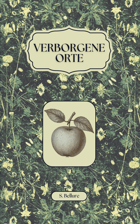Kniha Verborgene Orte S. Bellure
