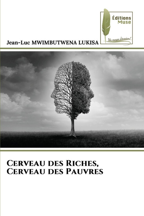 Kniha Cerveau des Riches, Cerveau des Pauvres Jean-Luc MWIMBUTWENA LUKISA