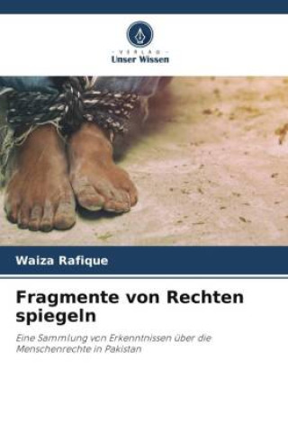 Kniha Fragmente von Rechten spiegeln Waiza Rafique