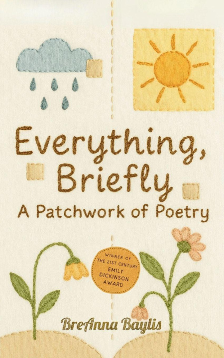 Kniha Everything, Briefly BreAnna Baylis