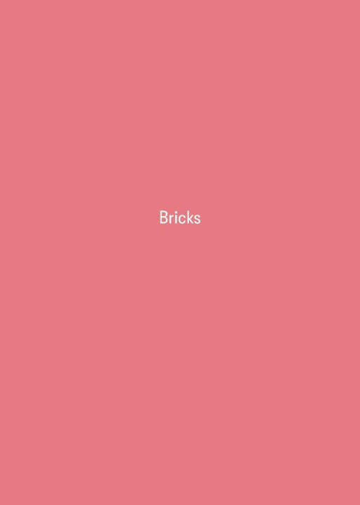 Knjiga Bricks Paul Andersen
