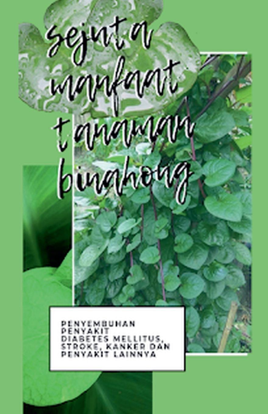 Kniha Sejuta Manfaat Binahong Putu Fera Yanti Suhendri