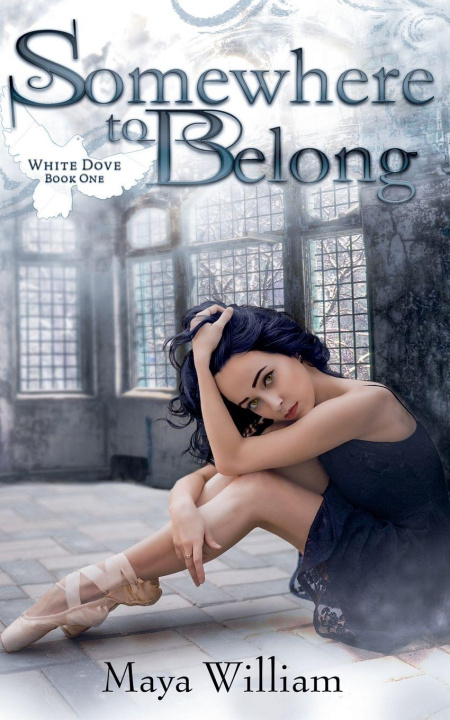 Boek Somewhere to Belong Maya William