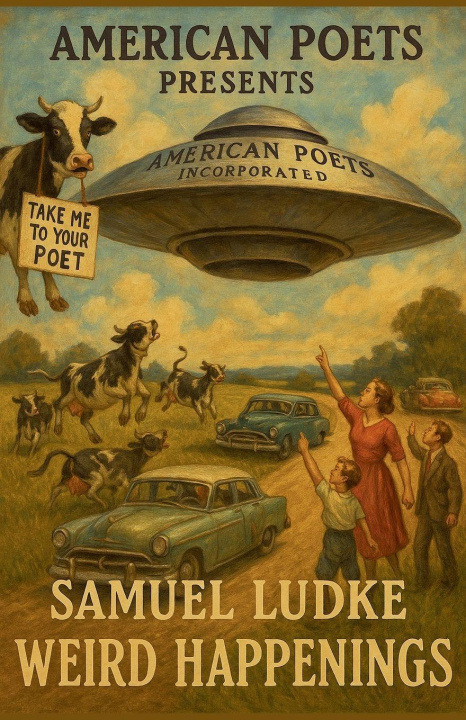 Kniha Weird Happenings Samuel Ludke