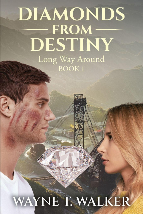 Kniha Diamonds From Destiny Wayne T. Walker