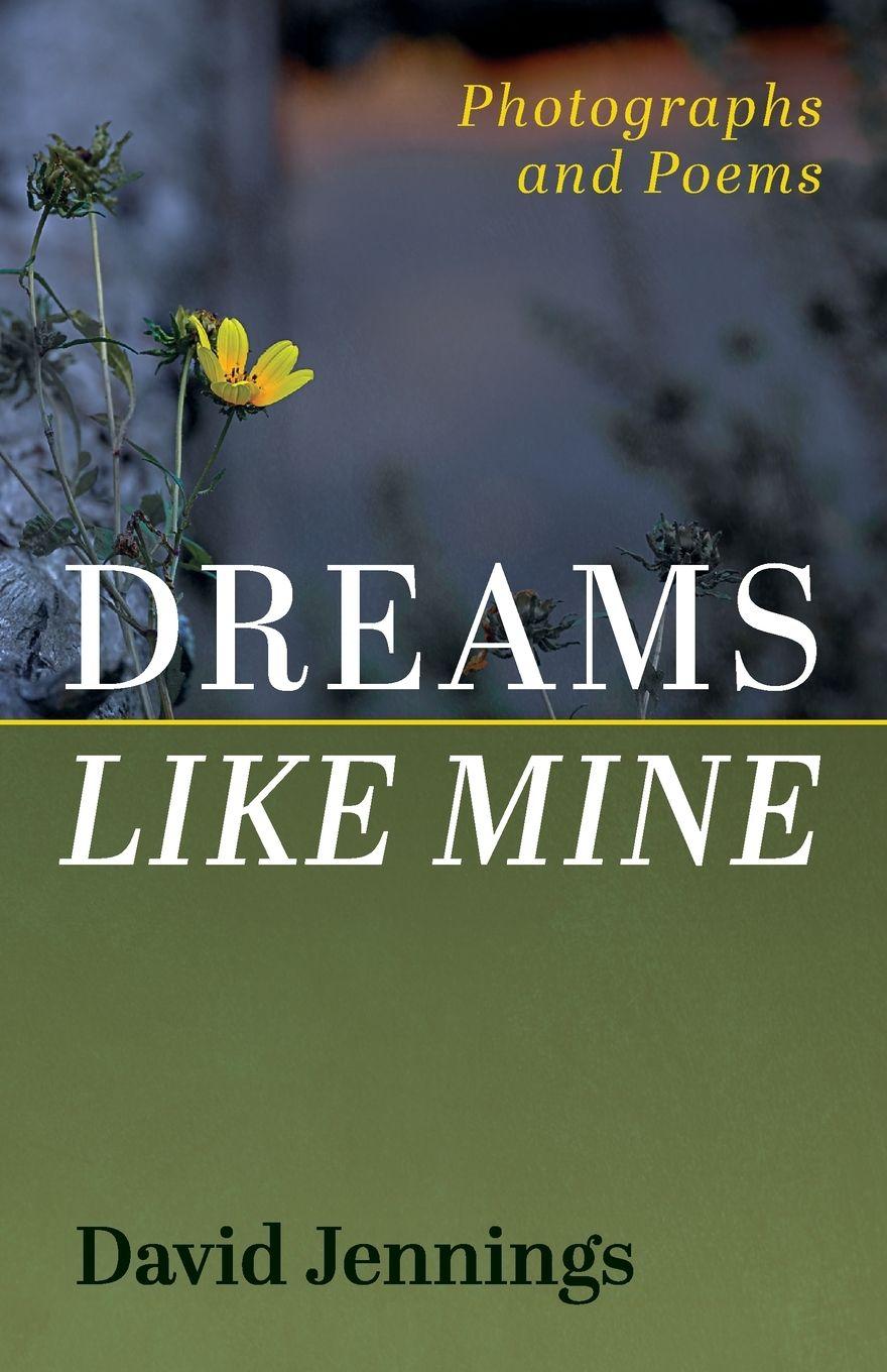 Knjiga Dreams Like Mine David Jennings