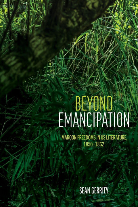 Kniha Beyond Emancipation Sean Gerrity