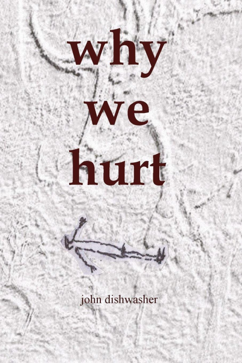 Kniha Why We Hurt John Dishwasher