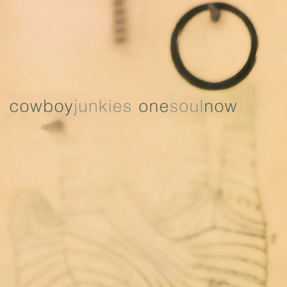 Audio One Soul Now Cowboy Junkies