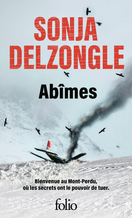 Buch Abîmes Delzongle