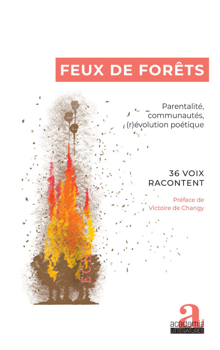 Knjiga Feux de forêts Collectif Feux de