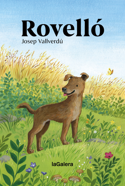 Kniha Rovelló Josep Vallverdú