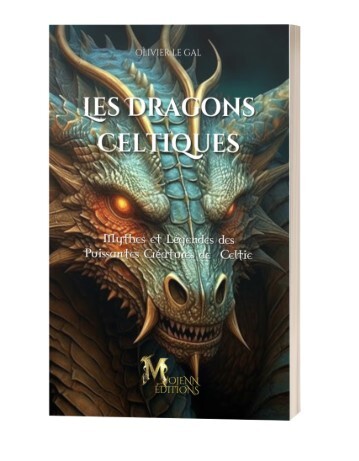 Książka LES DRAGONS CELTIQUES LE GAL