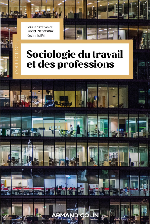 Kniha Sociologie du travail et des professions 