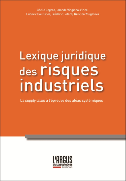 Kniha Lexique des risques industriels Iolande Vingiano-Viricel