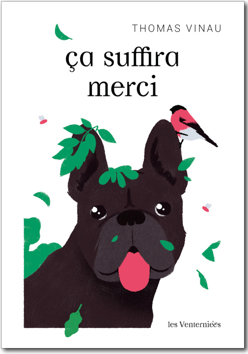 Boek Ça suffira merci Vinau