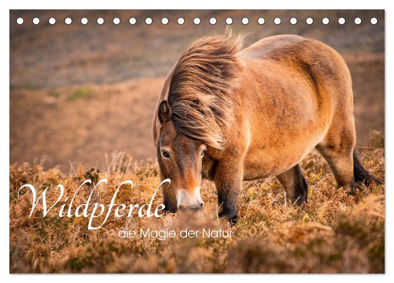 Kalendár/Diár Wildperde - die Magie der Natur (Tischkalender 2026 DIN A5 quer), CALVENDO Monatskalender Calvendo