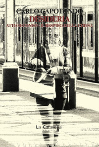 Knjiga Desideria Carlo Capotondo