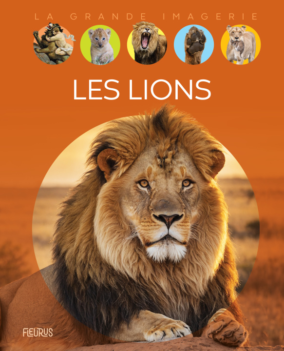 Kniha Les lions Cathy Franco