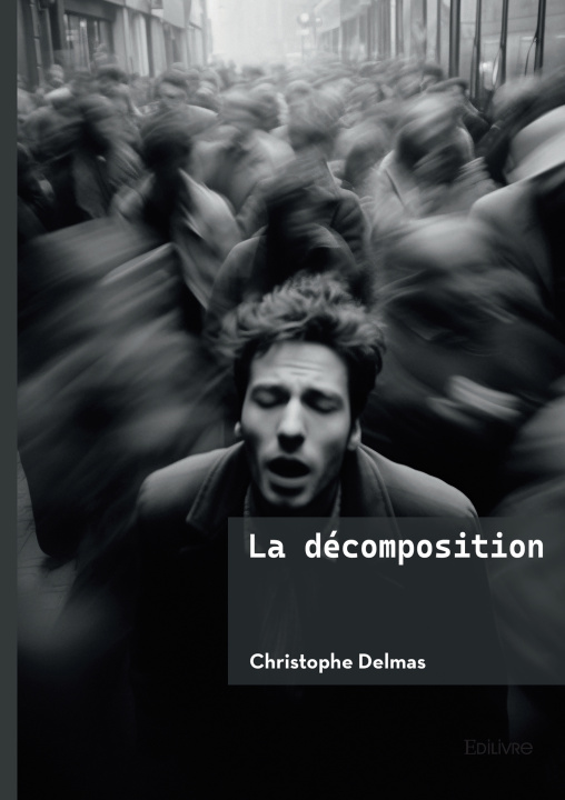 Kniha La décomposition Christophe Delmas