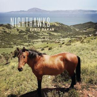 Audio Paris-Dakar Nighthawks