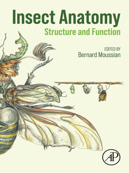 E-book Insect Anatomy Bernard Moussian